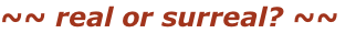 ~~ real or surreal? ~~