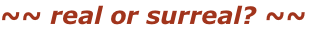~~ real or surreal? ~~