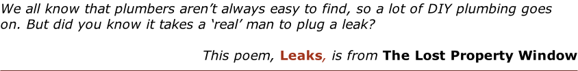 We all know that plumbers aren’t always easy to find, so a lot of DIY plumbing goes on. But did you know it takes a ‘real’ man to plug a leak?  This poem, Leaks, is from The Lost Property Window